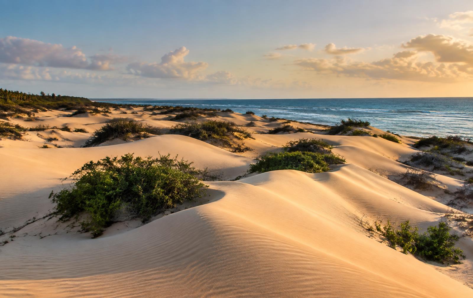 Coastal sand dunes at Mambrui near Malindi